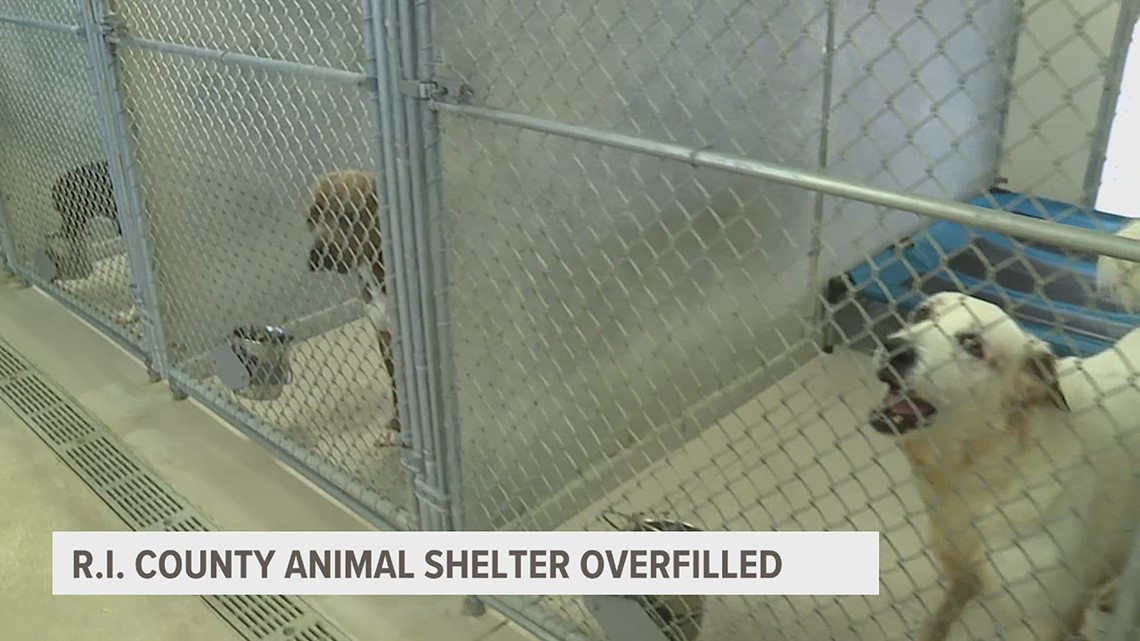 Rock Island County Animal Shelter dealing with animal overflow