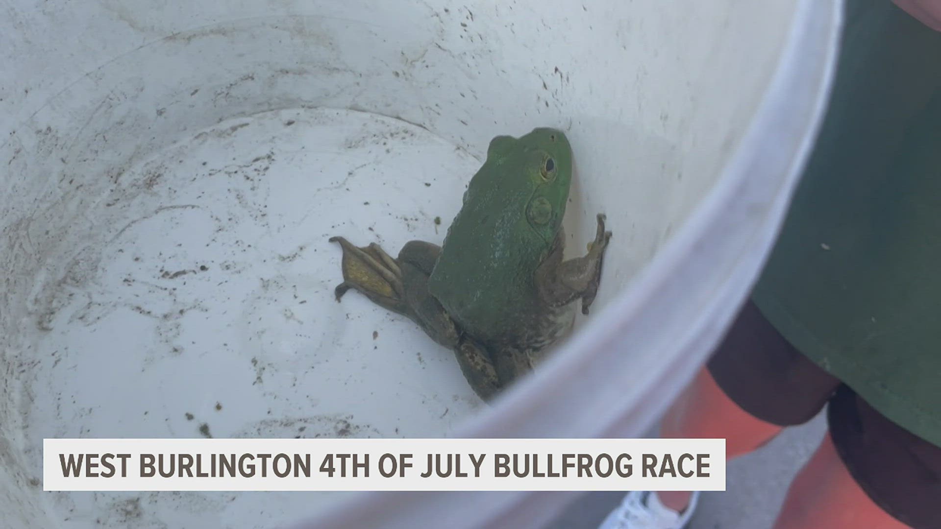 At the 20th anniversary of the West Burlington Fourth of July Celebration, participants could rent a frog for $100 to enter the bullfrog race.