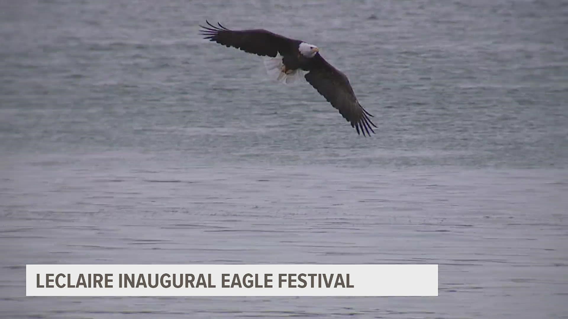 Le Claire is hosting its first ever Eagle Festival this weekend. This free educational event is hosted by Riverboat Twilight.