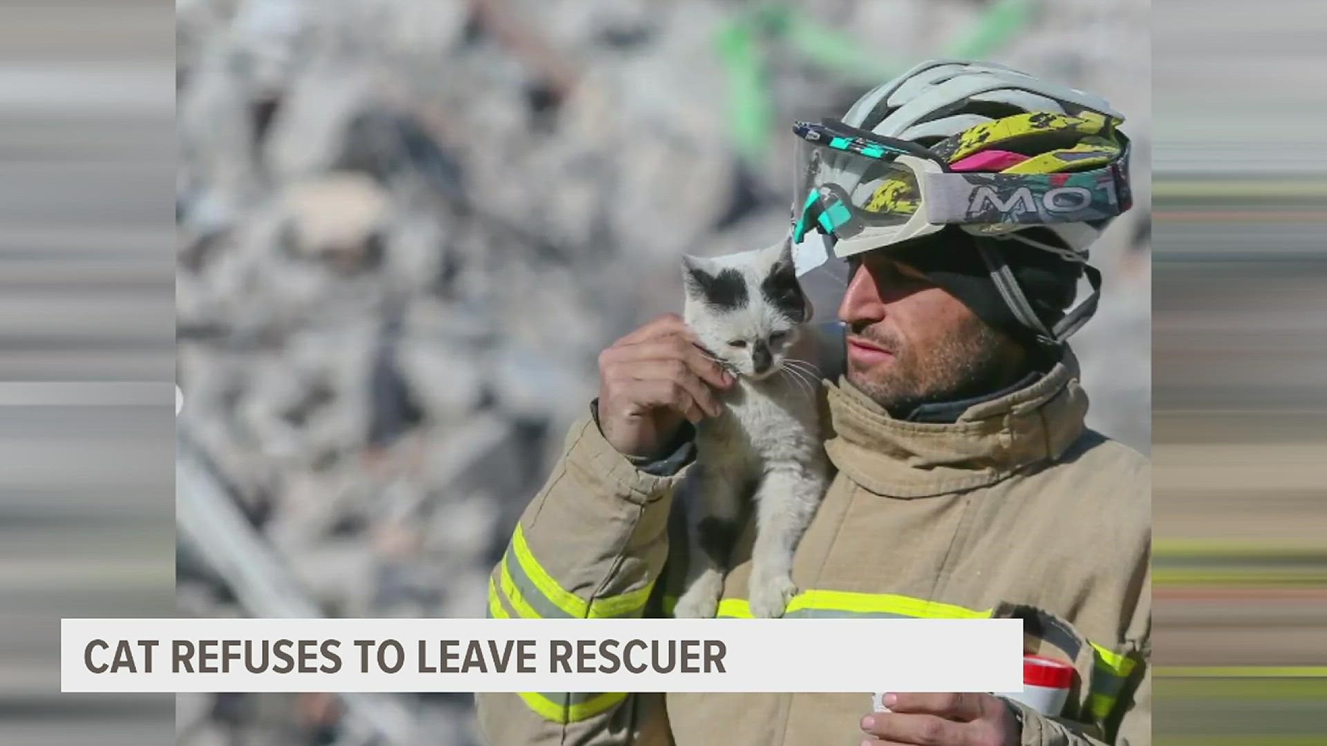 A cat was rescued from being trapped under rubble of a collapsed building for 10 days and nights. After being found, a Turkish firefighter adopted the kitty.