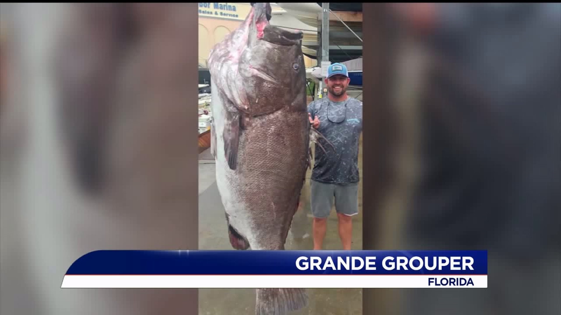 Man catches massive 350-pound grouper off Florida coast