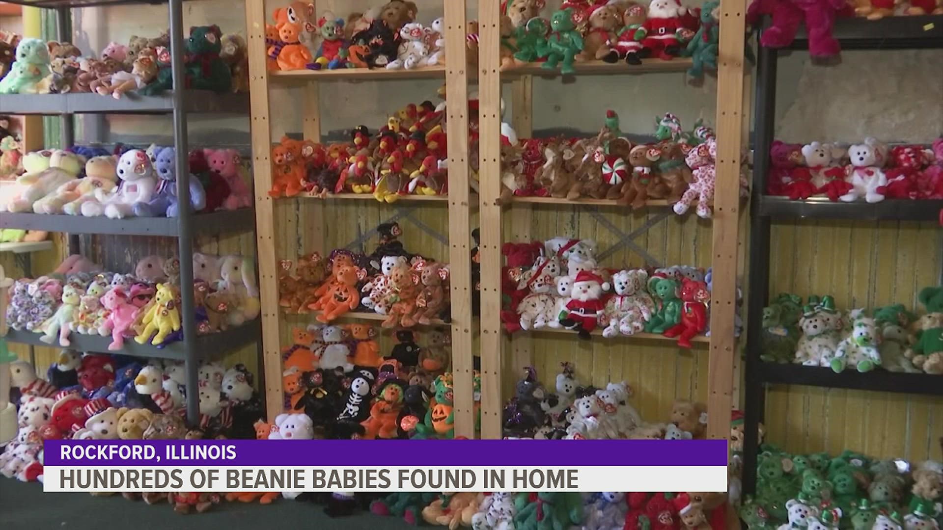 Jolly Estate Sales could not believe the amount of Beanie Babies they found in a Rockford home, which are all going on sale this weekend.