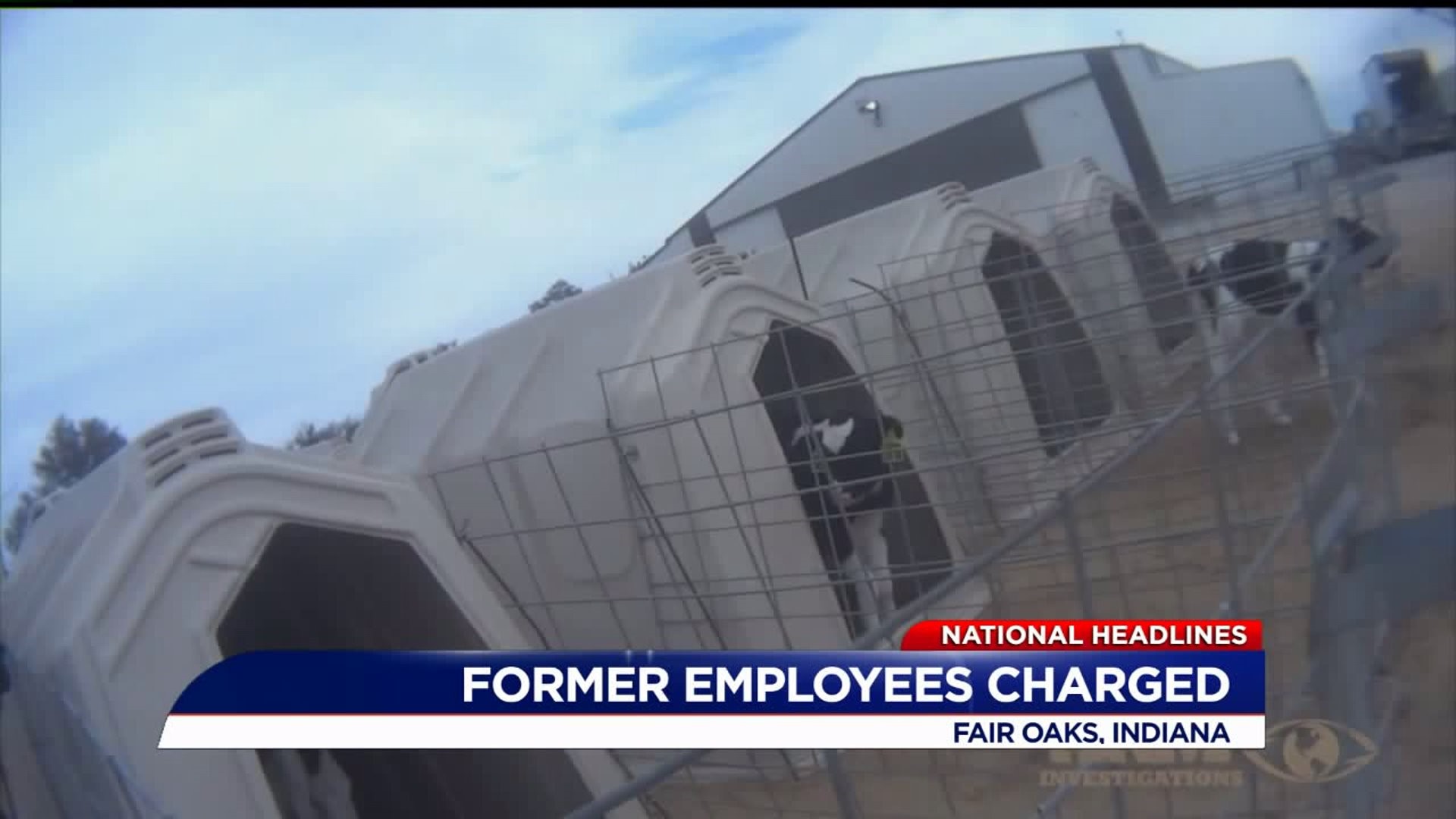 Three Fair Oaks Farms employees charged in animal cruelty investigation