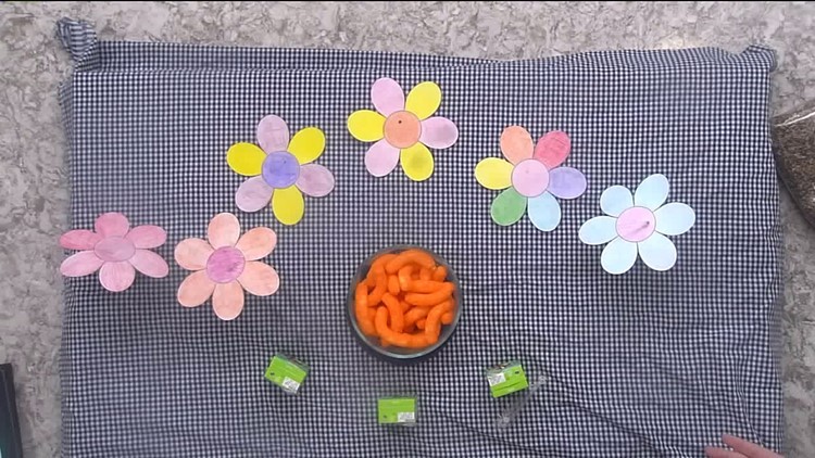 How do Cheetos represent pollen? Find out here