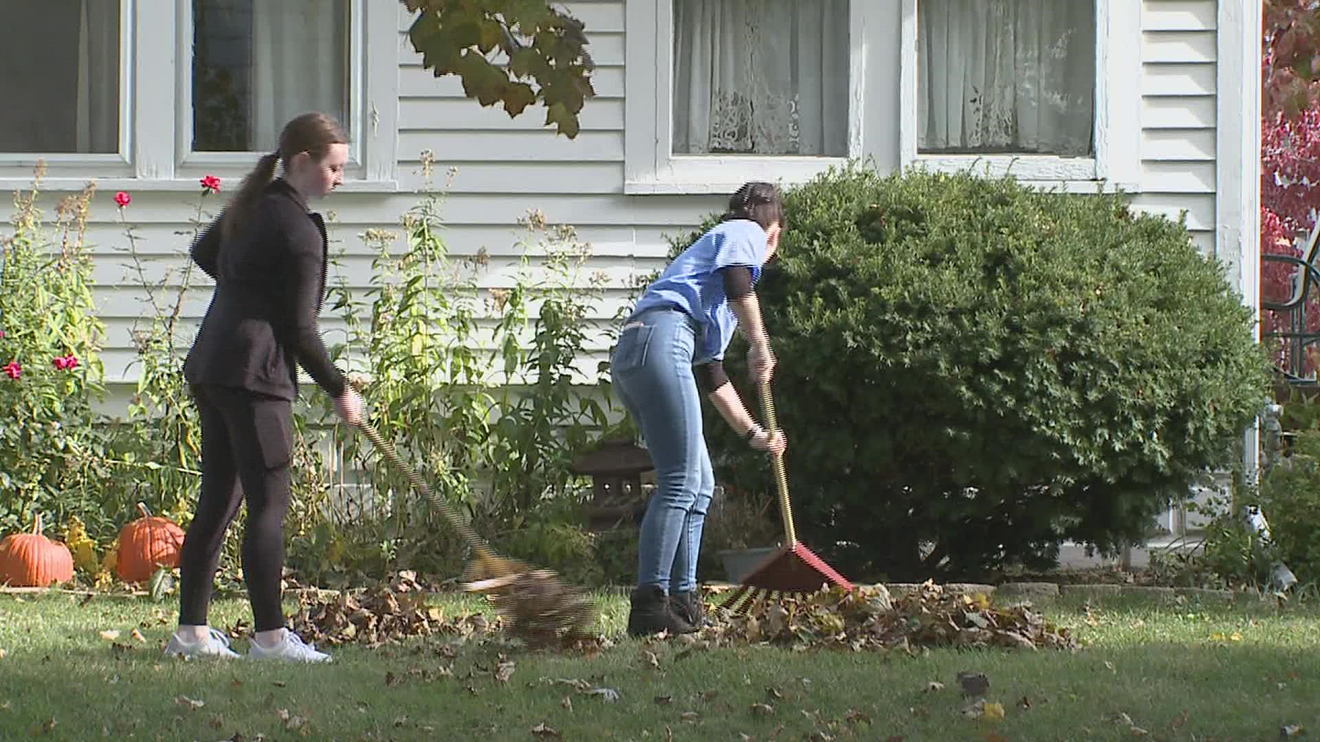 Hundreds of students at St. Ambrose gathered to rake leaves, pull weeds and trim bushes at neighborhood houses on Sunday afternoon.