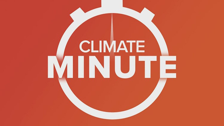 Climate Minute: Recycling properly