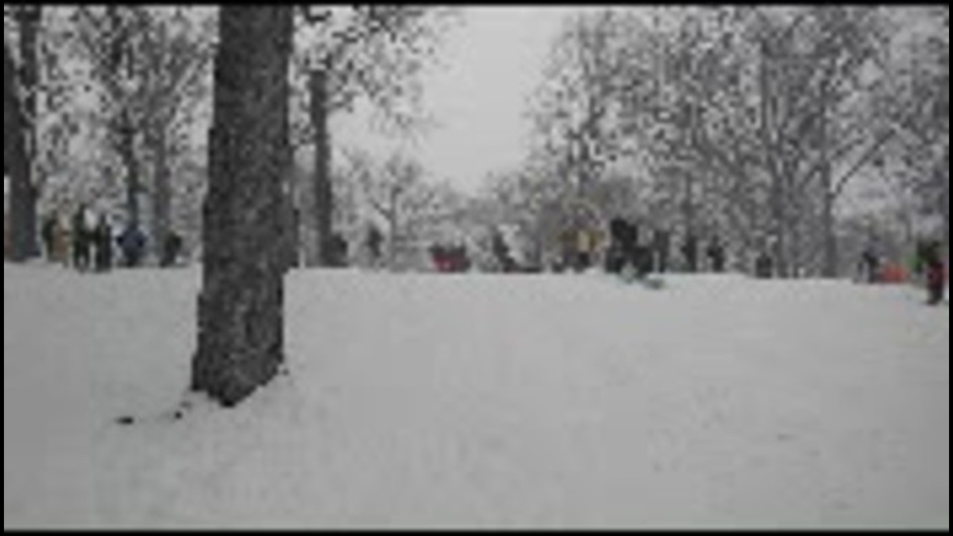 Mom sleds into tree at Sinnissipi Park in Sterling - video submitted by Laura Porter via WQAD iPhone app.mov