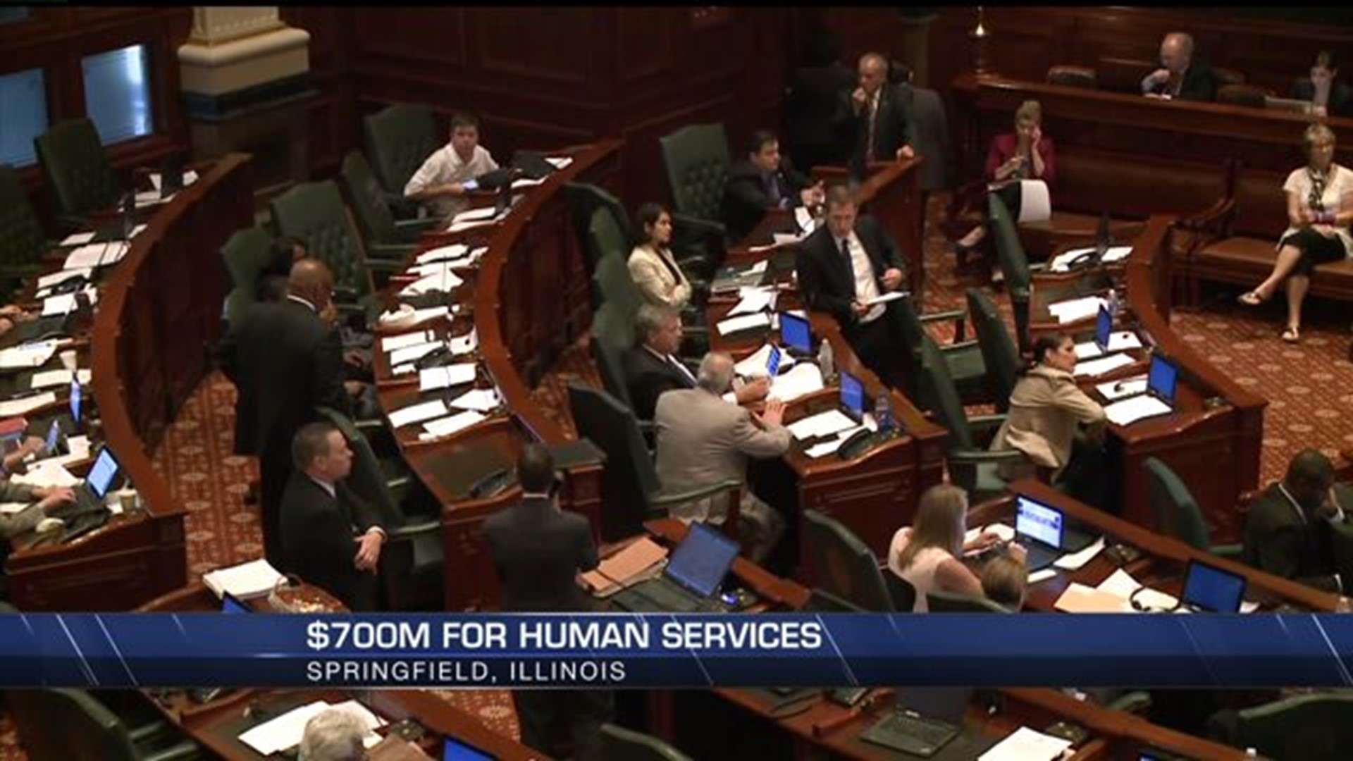 Illinois Dems propose budget for social services