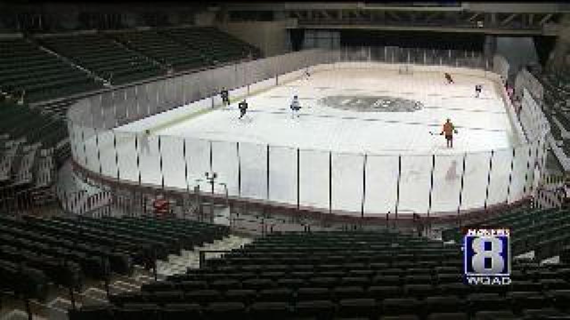 Central Hockey League takes over Mallards