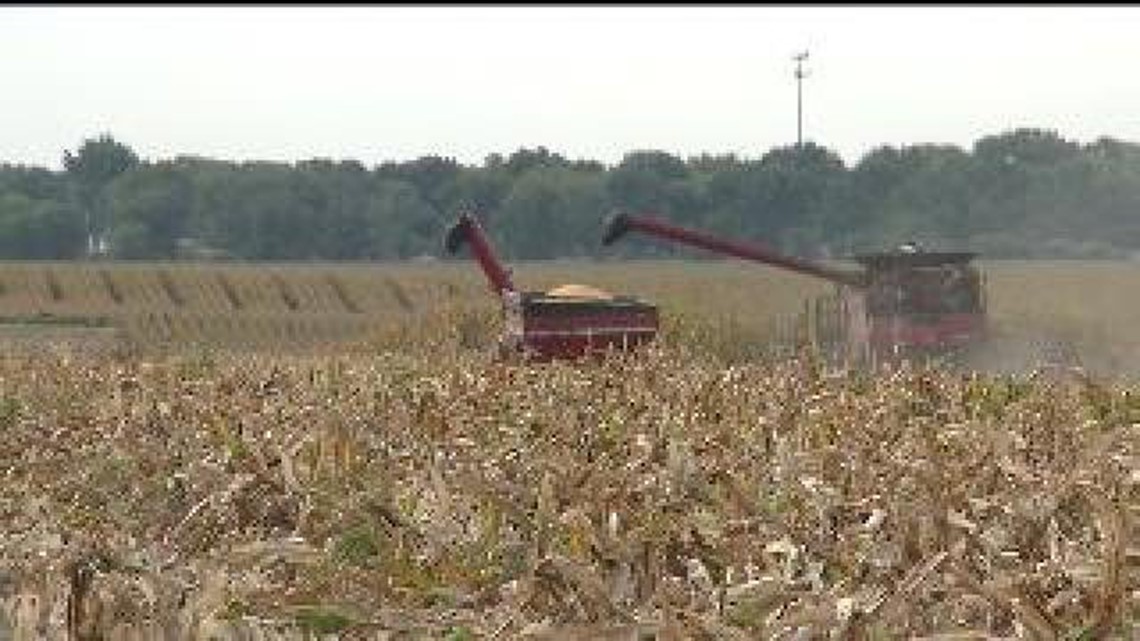 Why farming is one of the most dangerous jobs in the world | wqad.com