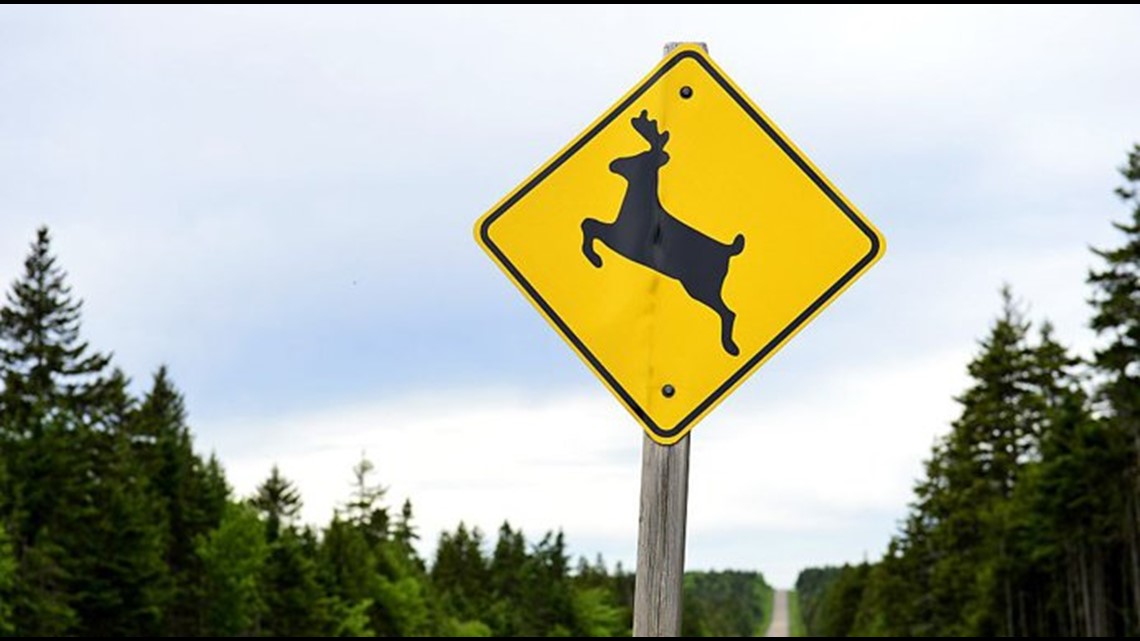 Iowa Department of Transportation on deer crossing signs