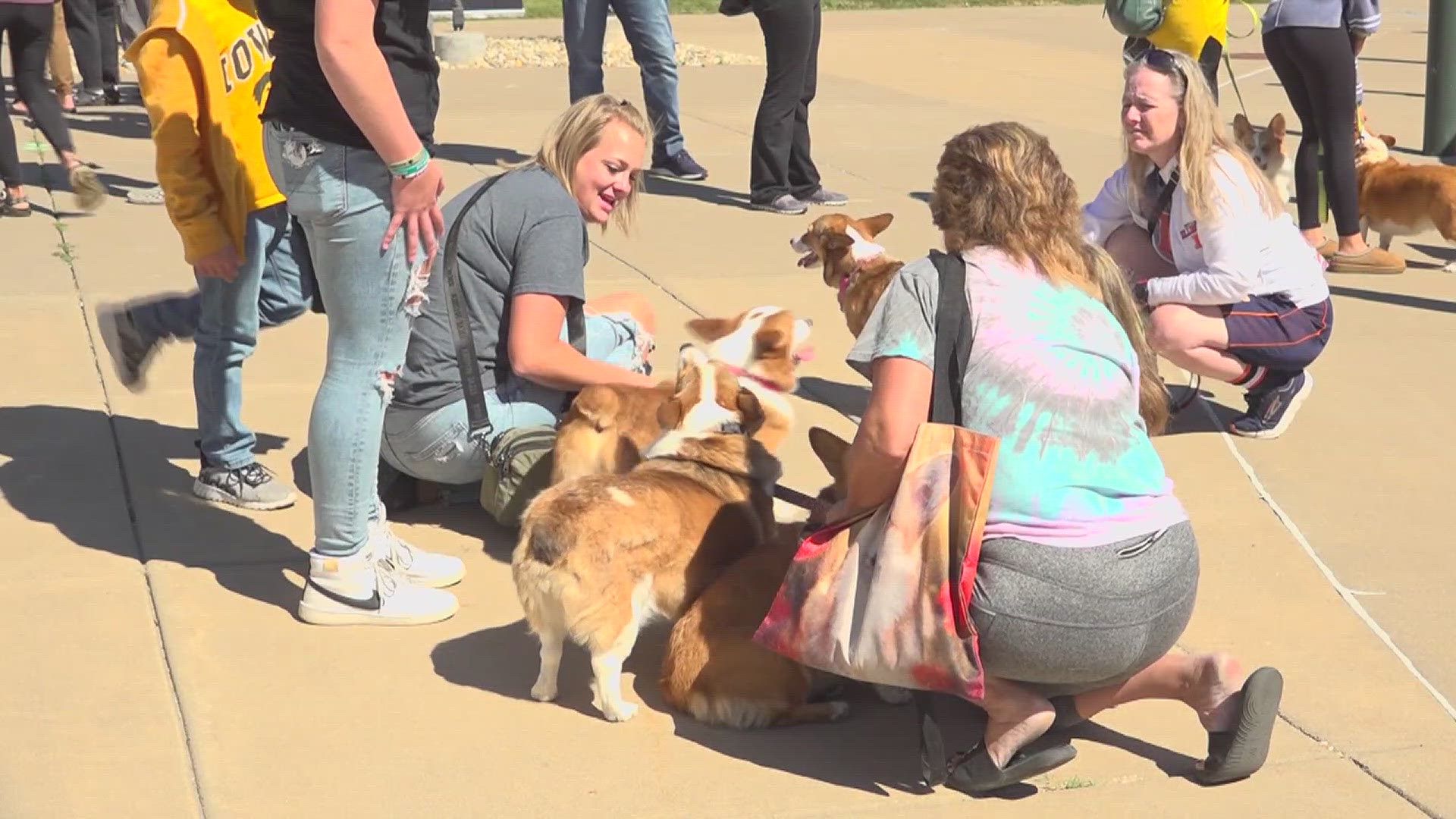 Pour Bros in downtown Moline welcomed families and pets of all breeds to their first annual "Corgi-Fest." Proceeds from this event went towards shelter pets.