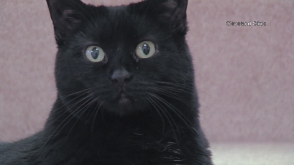 Psychologists break down the science behind superstitions