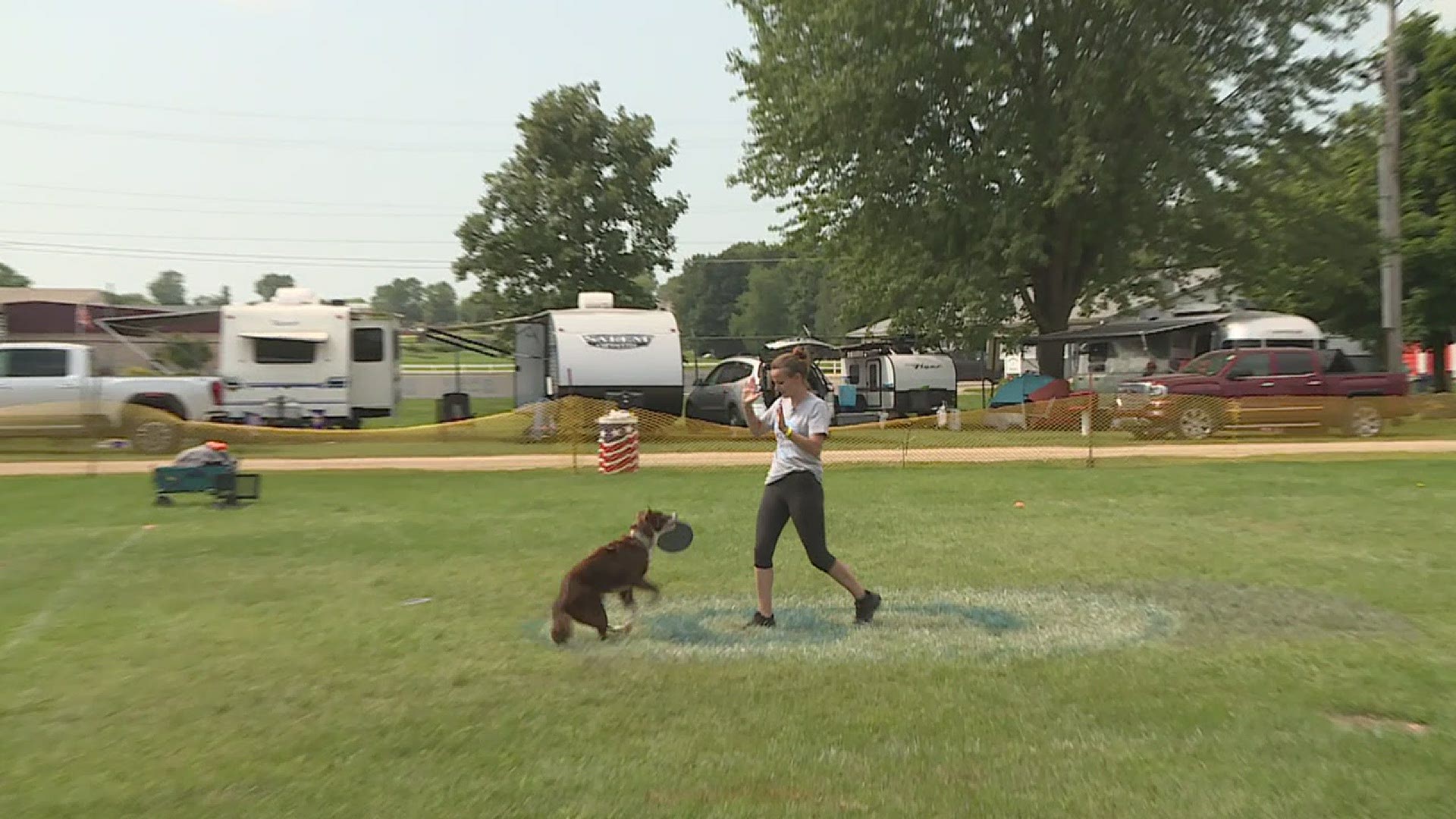 KLIMB Classic Dog Competition held in Maquoketa