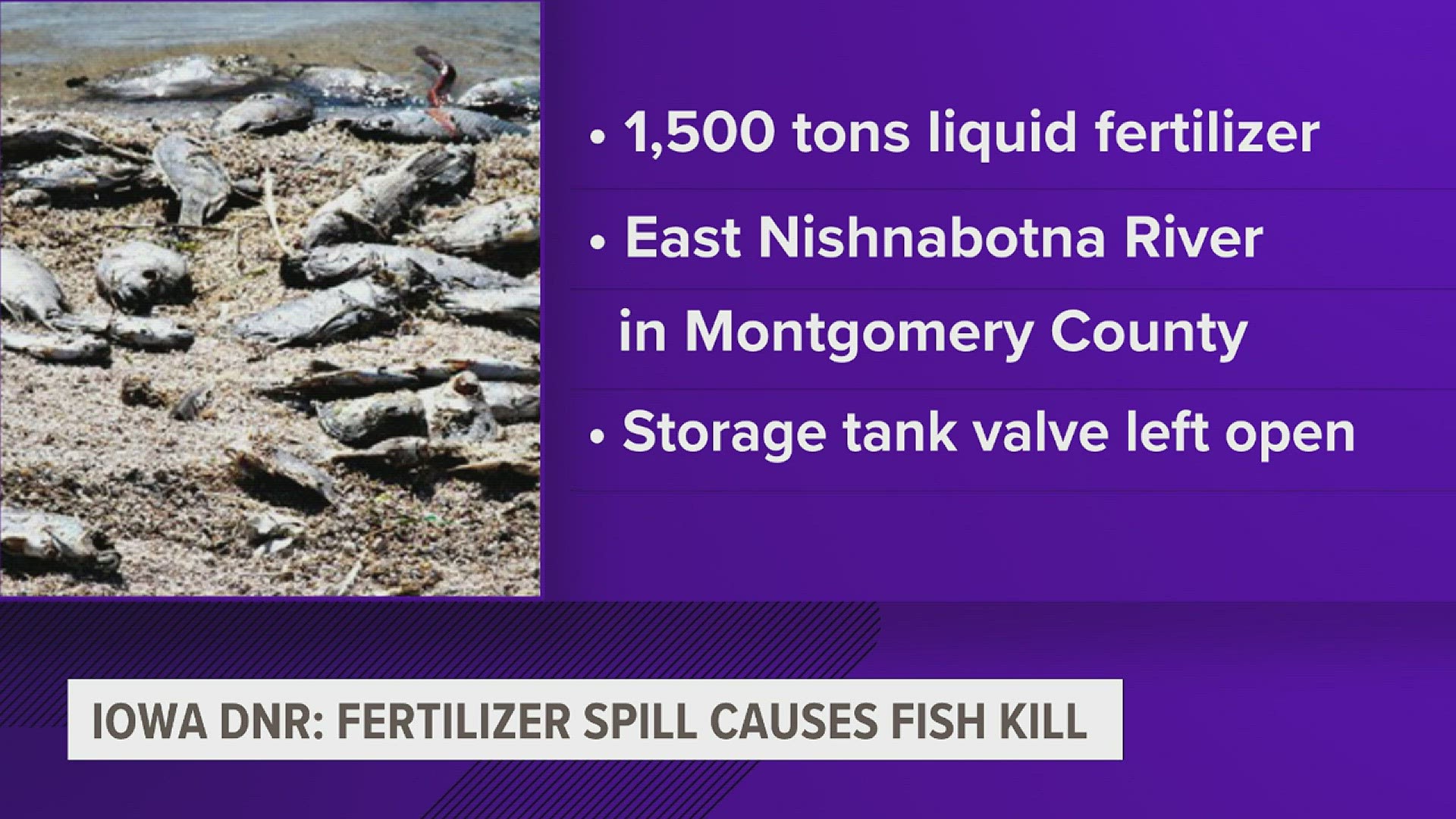 The spill has caused a fish kill, with officials still working to determine how widespread the issue is.
