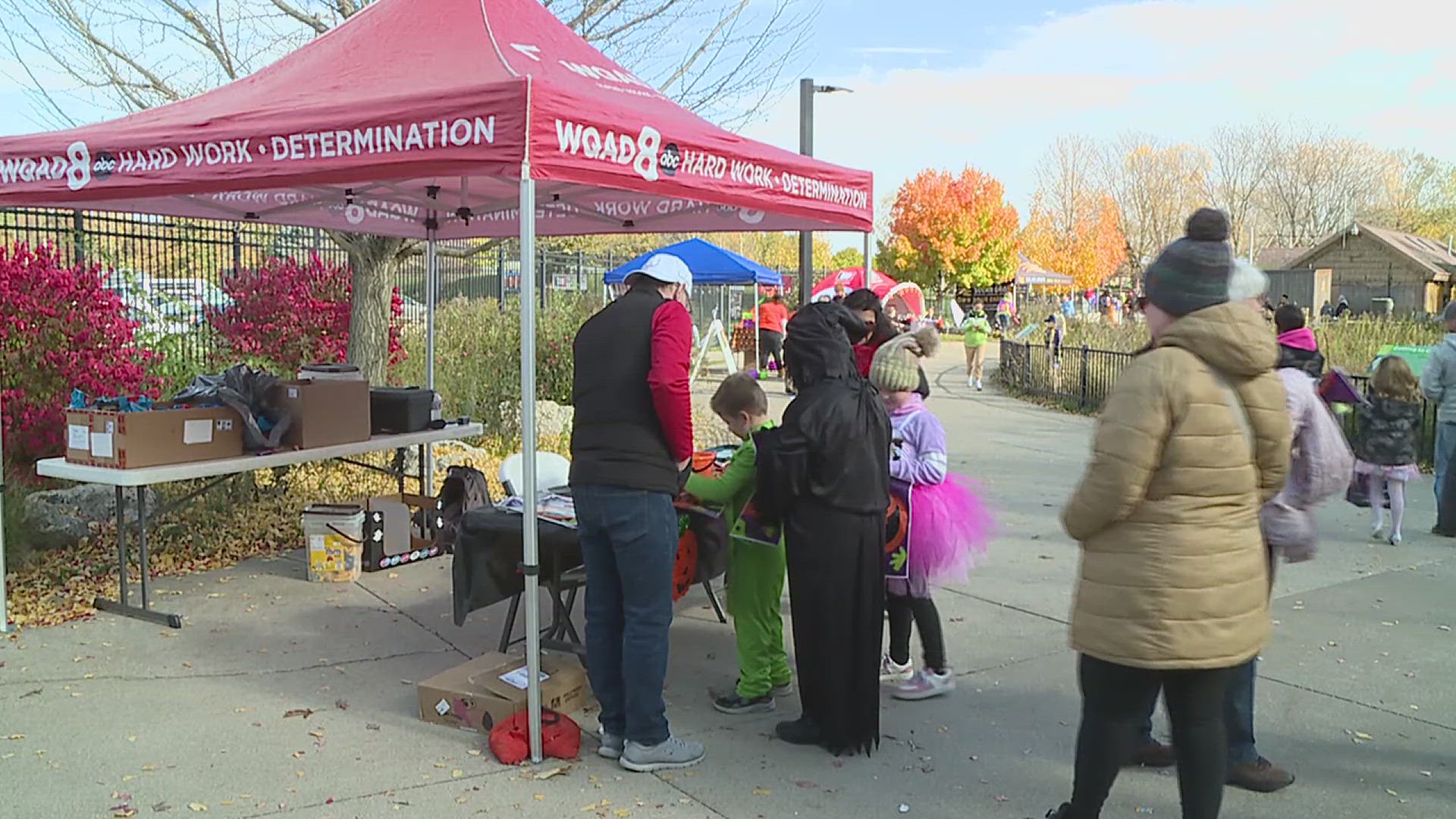 Boo at the Zoo returns to Niabi Zoo
