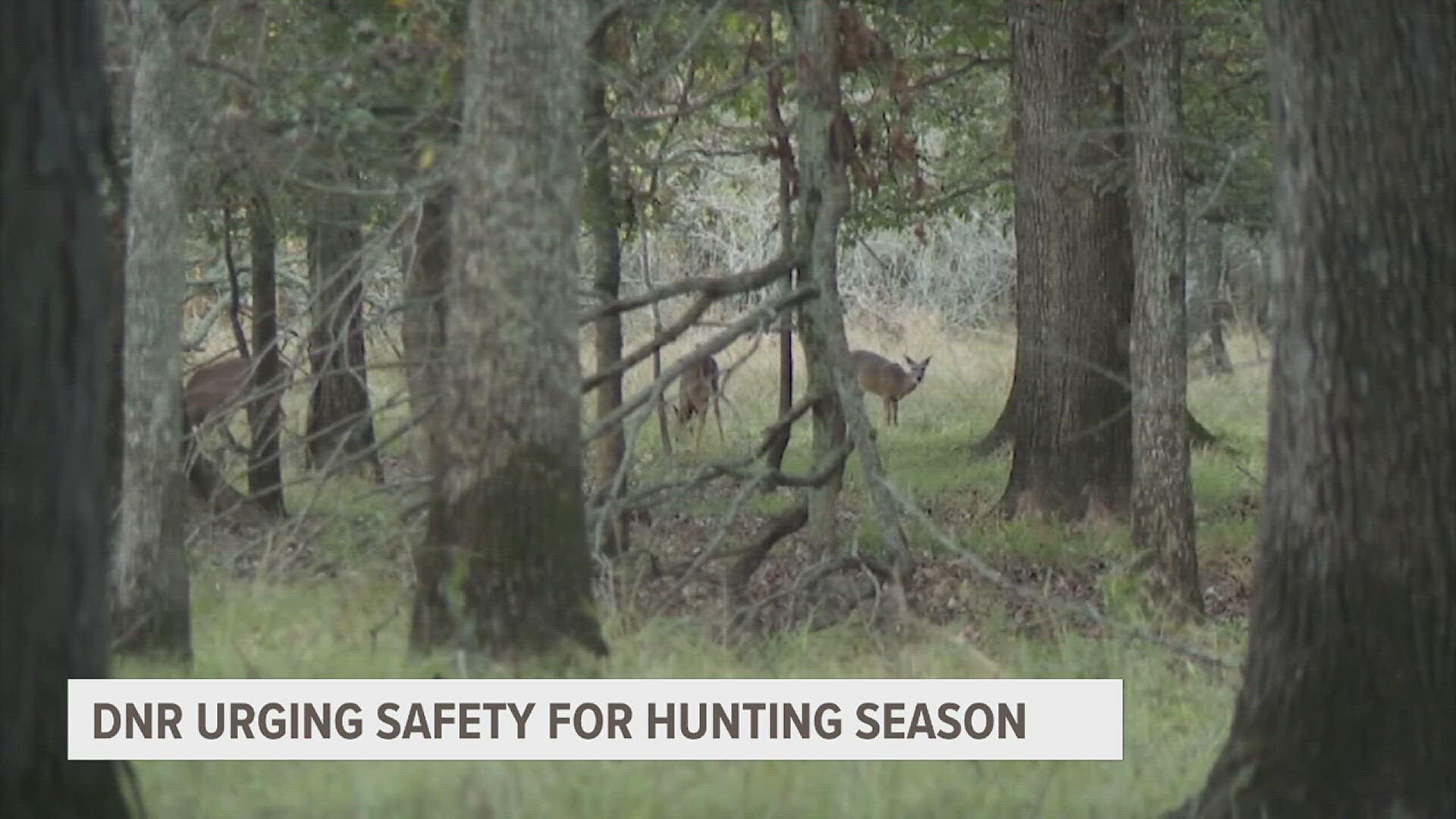 The deer firearm hunting season runs from Nov. 17 to Nov. 19 and Nov. 30 to Dec. 3.