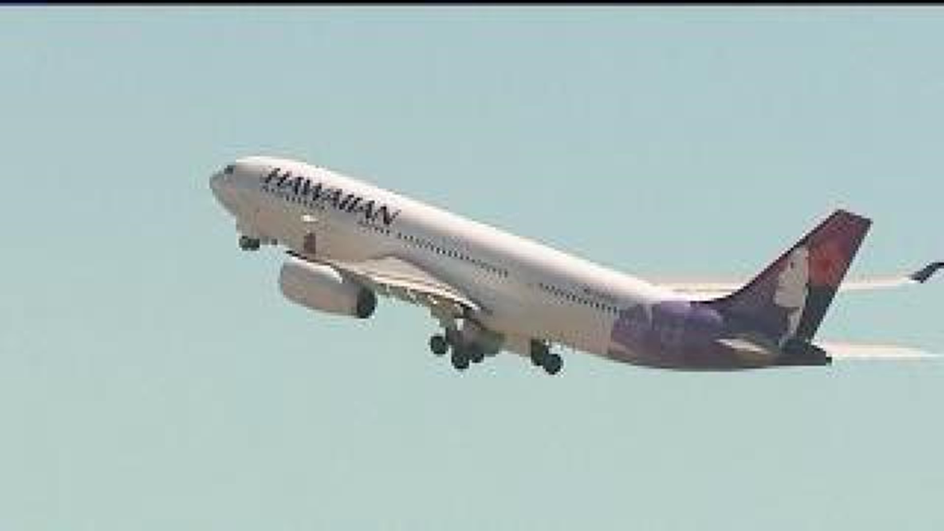 'Incredible' -- teen apparently survives flight to Hawaii in landing gear