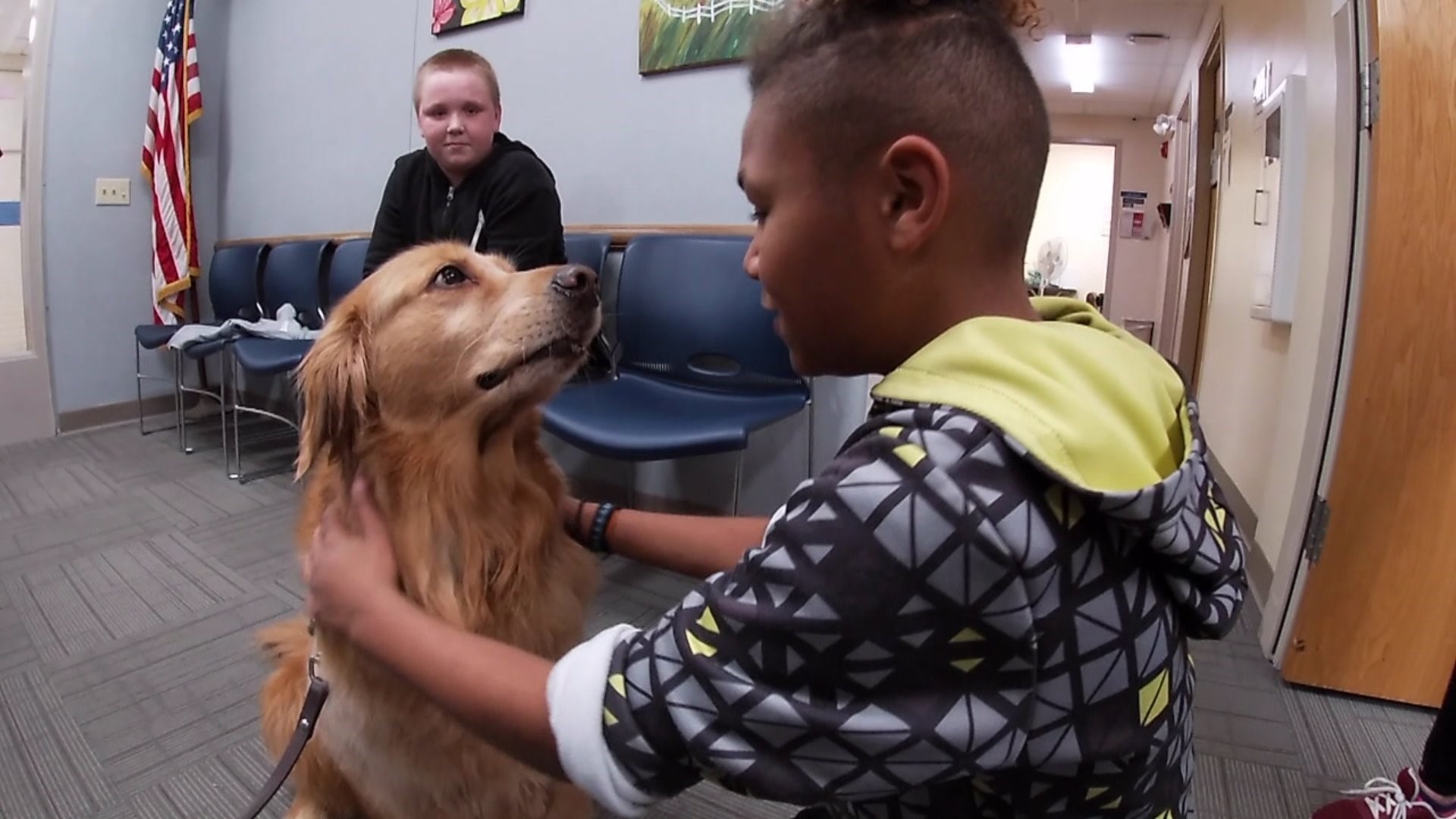 Meet Tinker, Glenview middle school`s new therapy dog