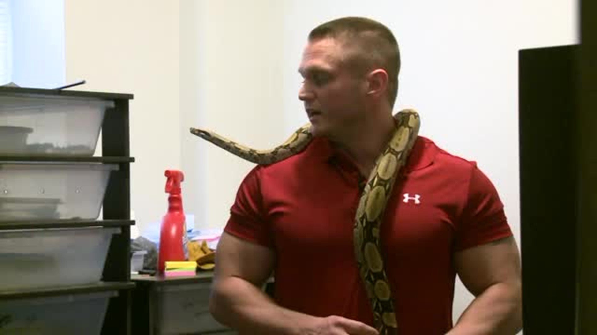 Ames denies man's plan to breed snakes