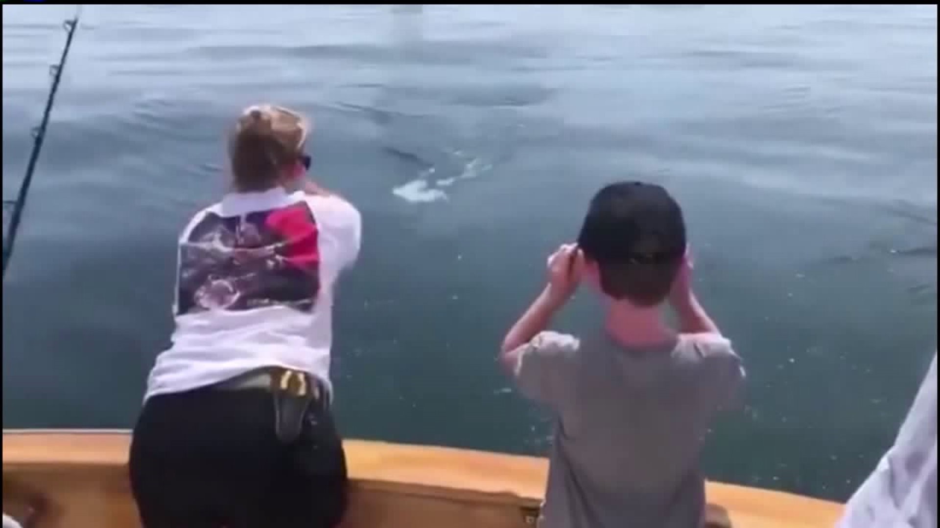 A great white shark jumped in front of a boat near Cape Cod, surprising those on board