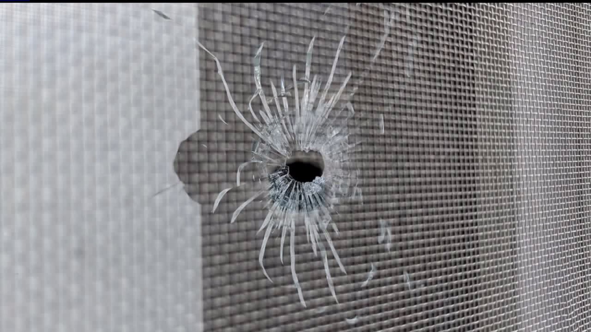 Gunshots fired into front window of house in Davenport