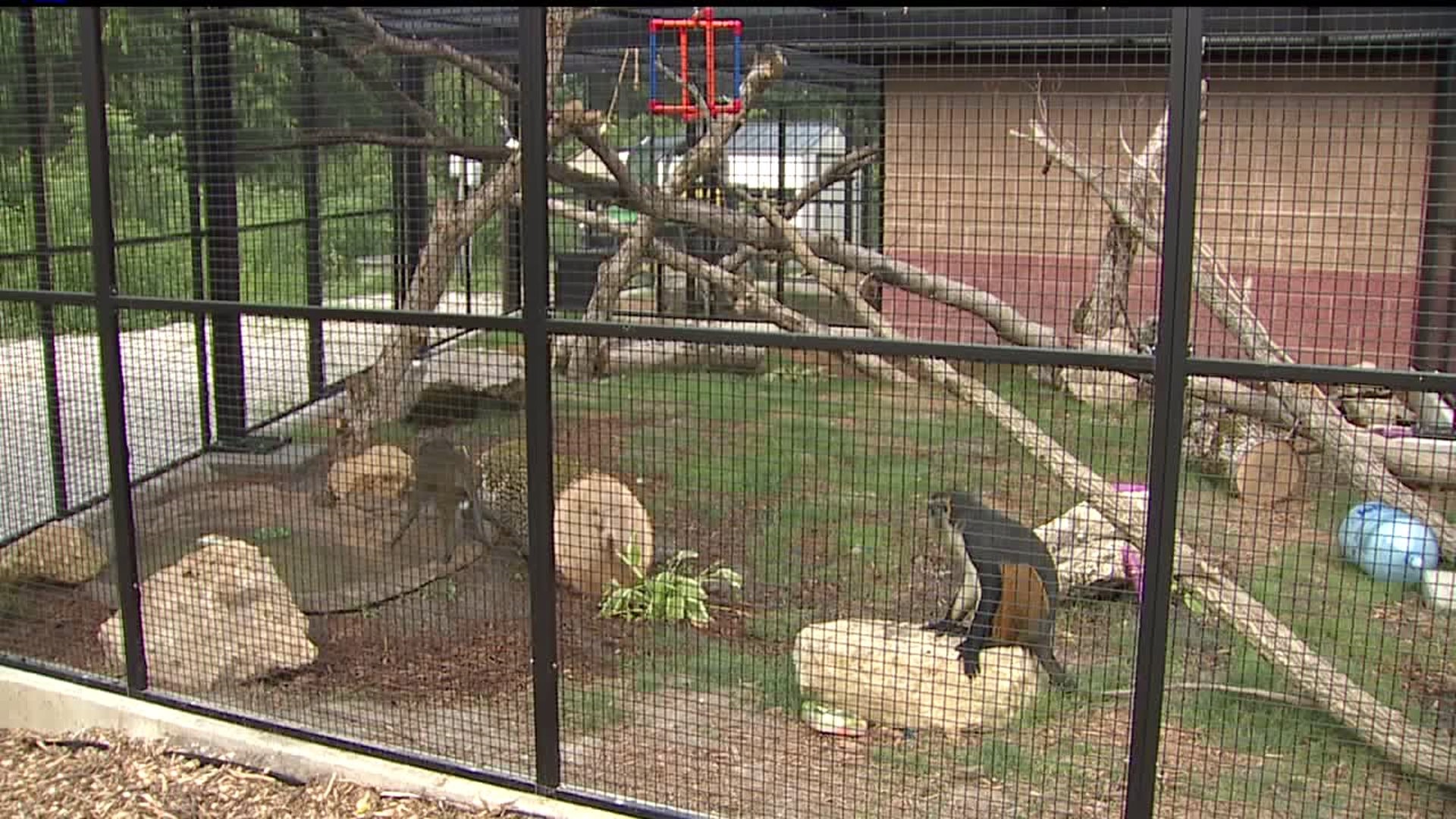 Niabi Zoo Primate Expansion