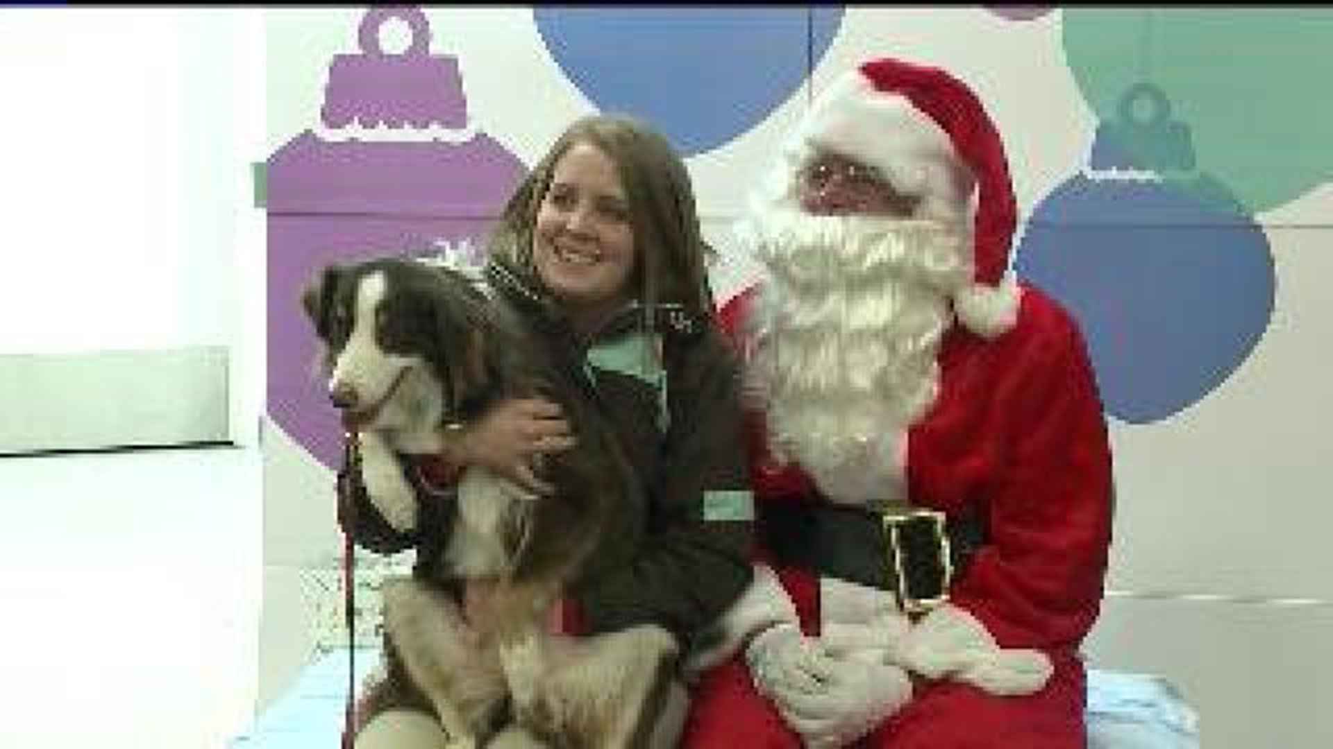 Pets Help Pets With Help From Santa