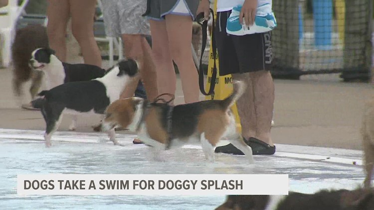 Dogs make a splash Sunday at Riverside Family Aquatic Center