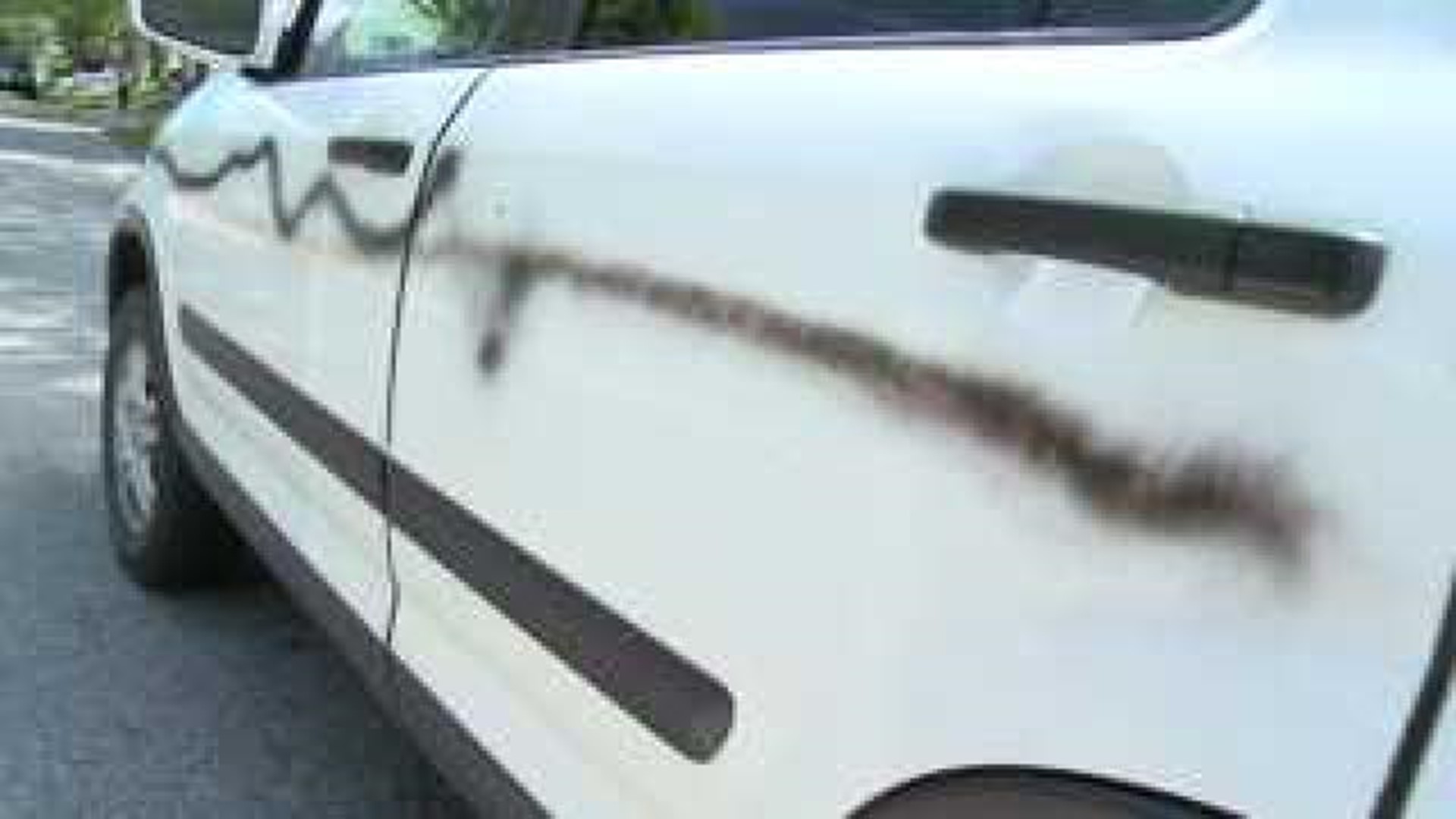 Cars spray painted in Davenport neighborhood
