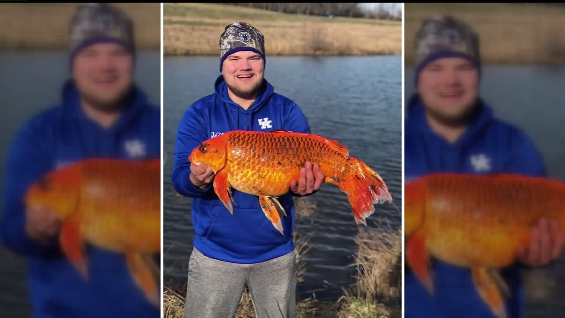 20-pound fish caught in Kentucky