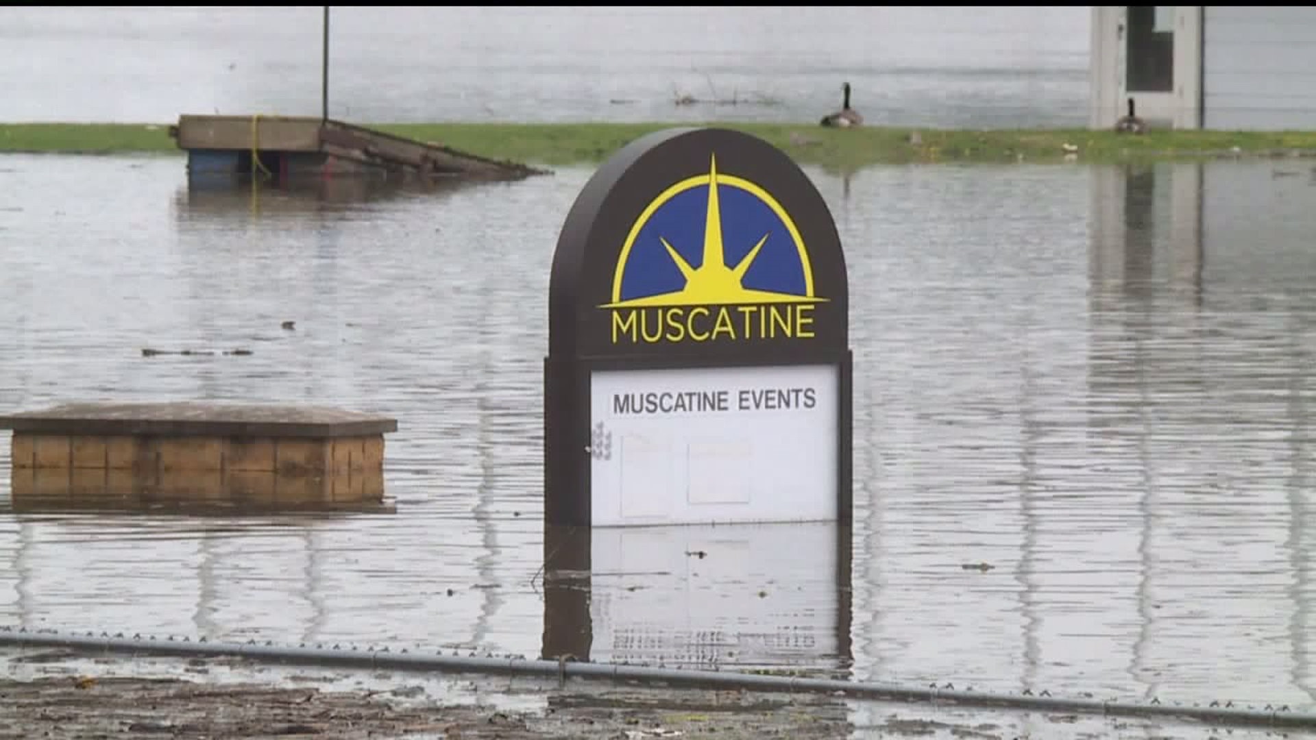 Muscatine County residents eligible for disaster assistance