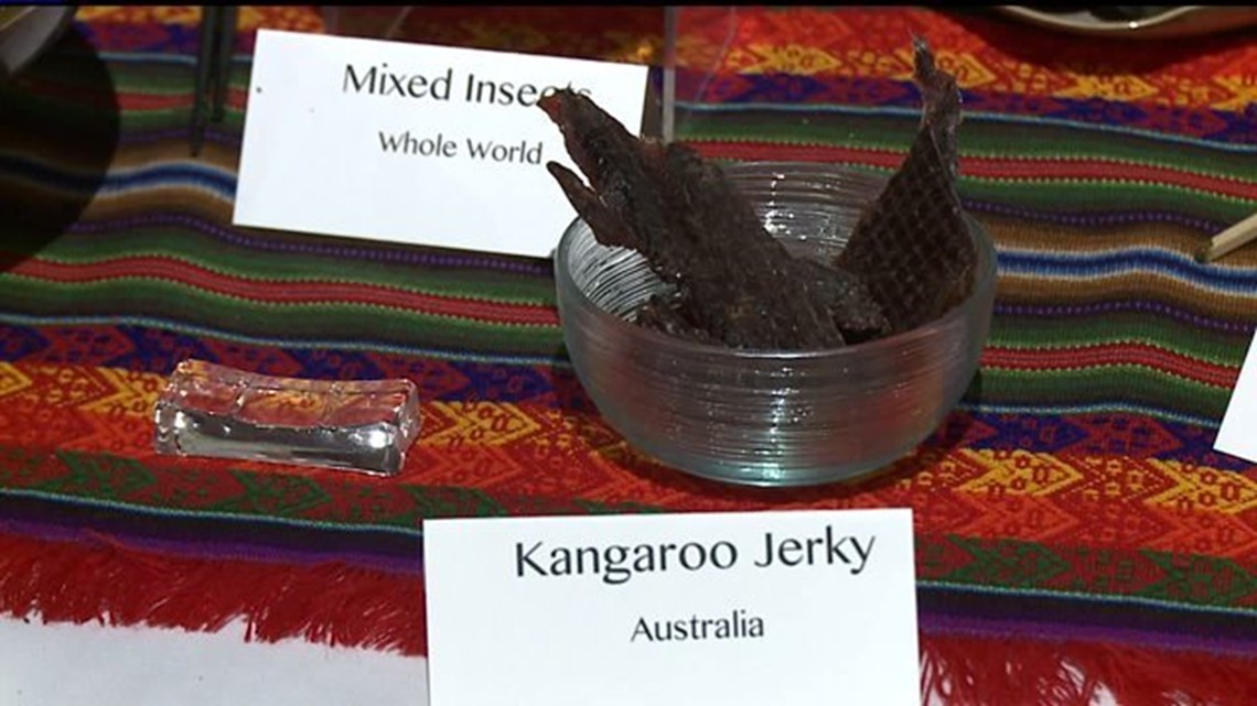 Putnam exhibit puts tarantula, earthworm jerky to the (taste) test