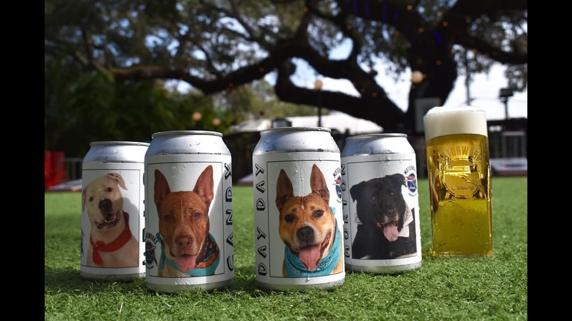 Florida Brewery Releases Beer Cans That Feature Dogs That Are Ready To Be Adopted Wqad Com