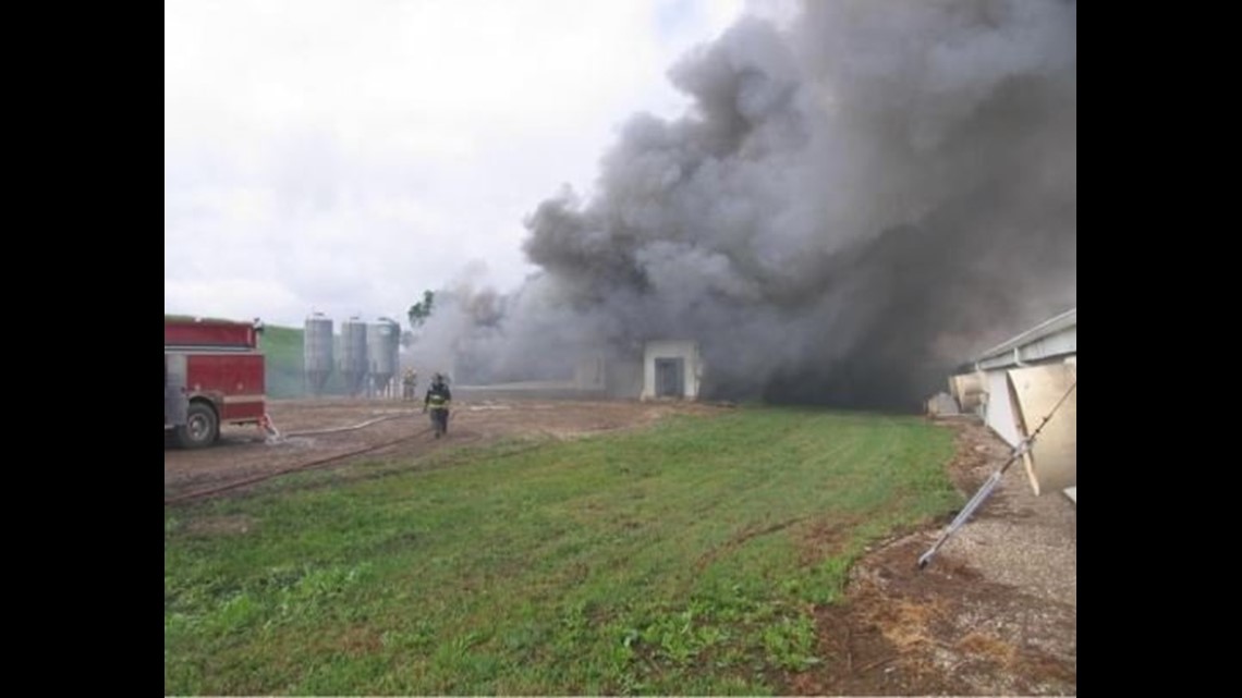 Heat lamp blamed for fire that killed thousands of hogs at confinement ...