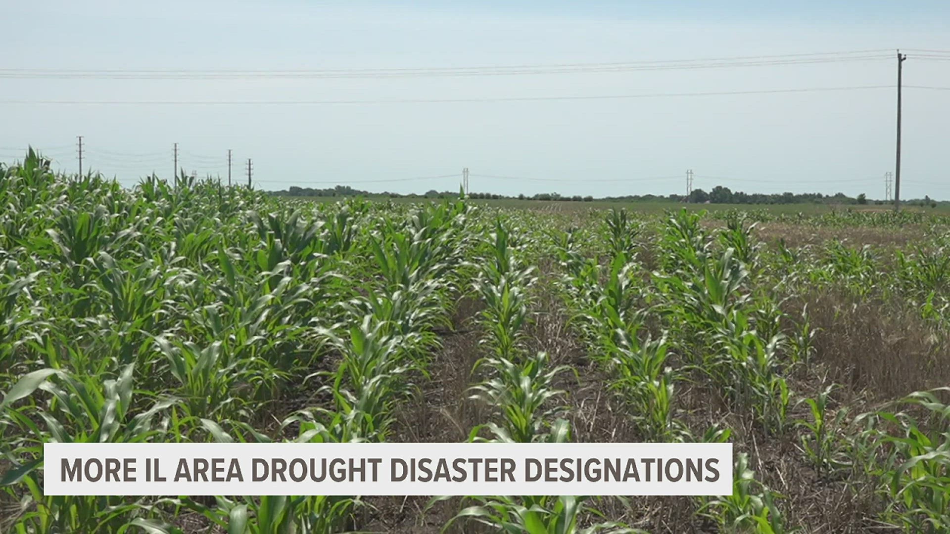 The USDA secretary issued additional drought disaster designations for seven new counties in Illinois. Farmers in the areas are able to apply for emergency loans.