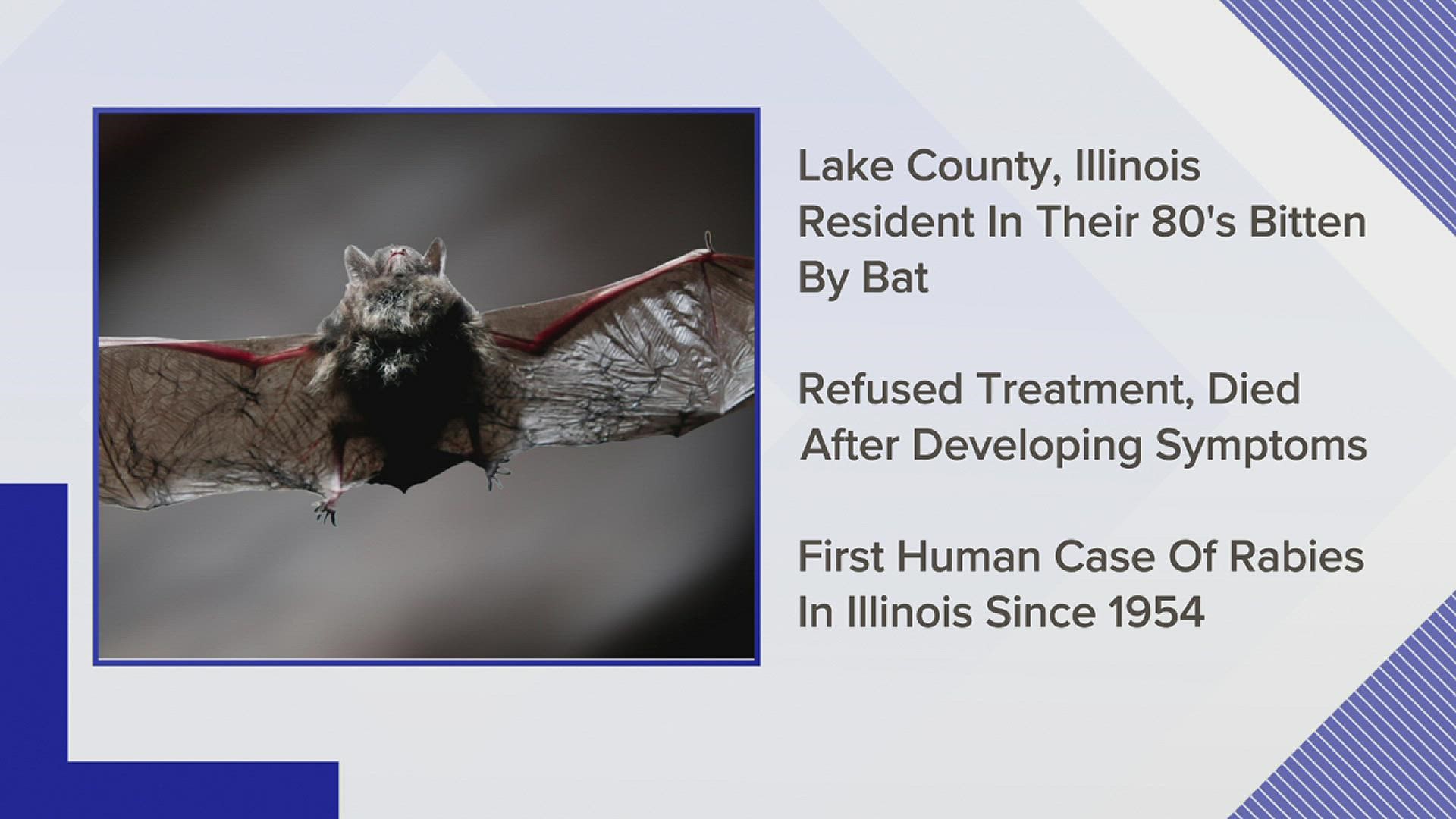 This is the first human case of rabies in Illinois since 1954.