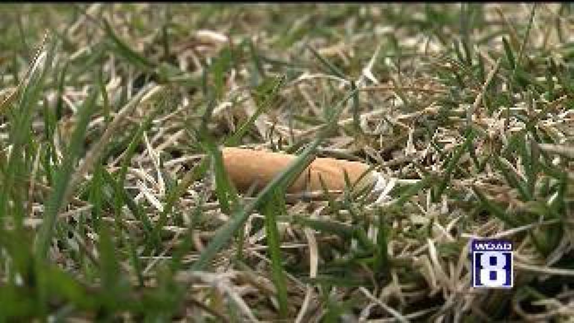 Local Initiative Pushes For Smoke-Free Parks
