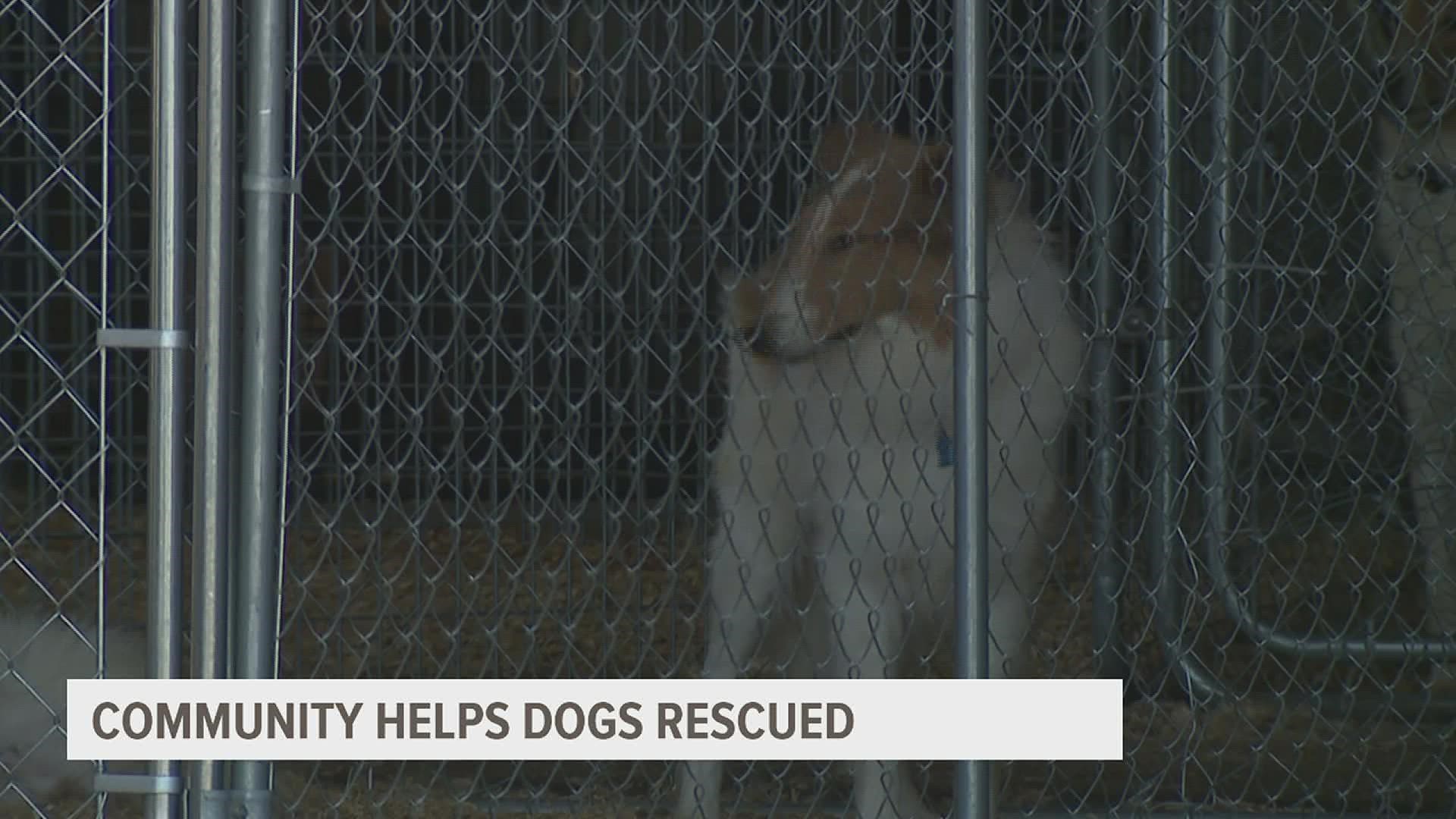 Nearly 200 dogs were seized from a Sherrard farm and their care is being coordinated through the Mercer County Animal Control.