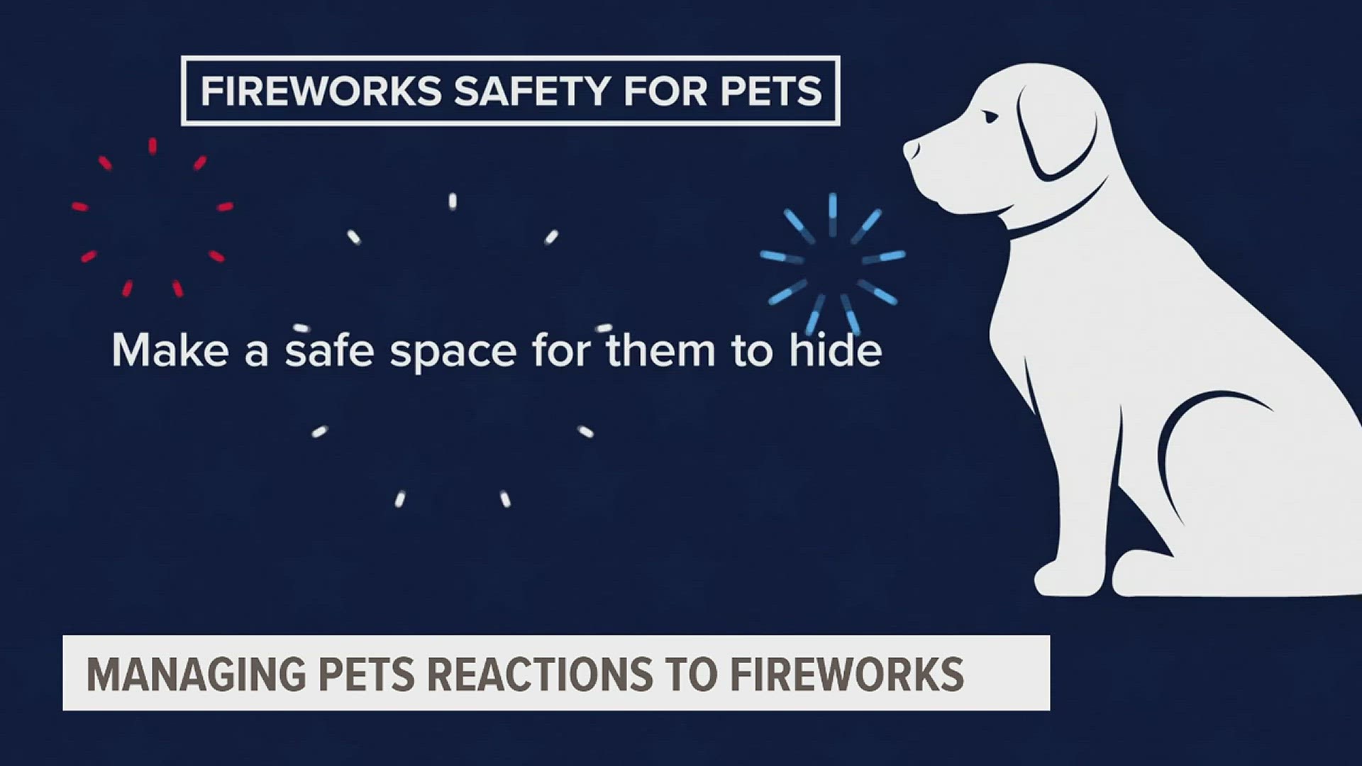 While fireworks are fun for humans, they can make many pets panic. Learn ways to help your pet get through the holiday calmly.