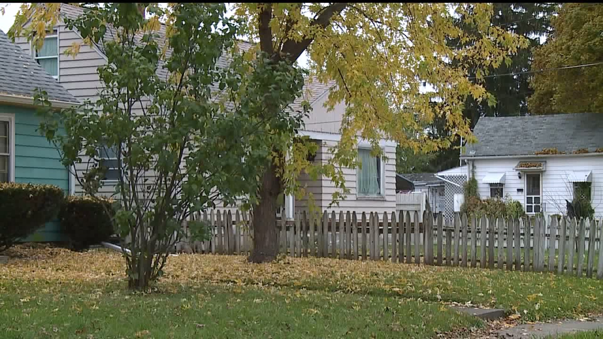 early snowfall could hurt leaves, pumpkins