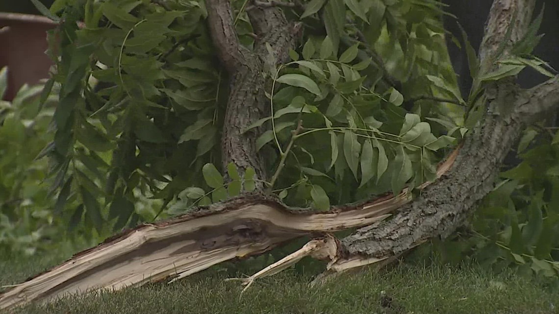 free-storm-debris-pickup-in-moline-until-april-26-wqad