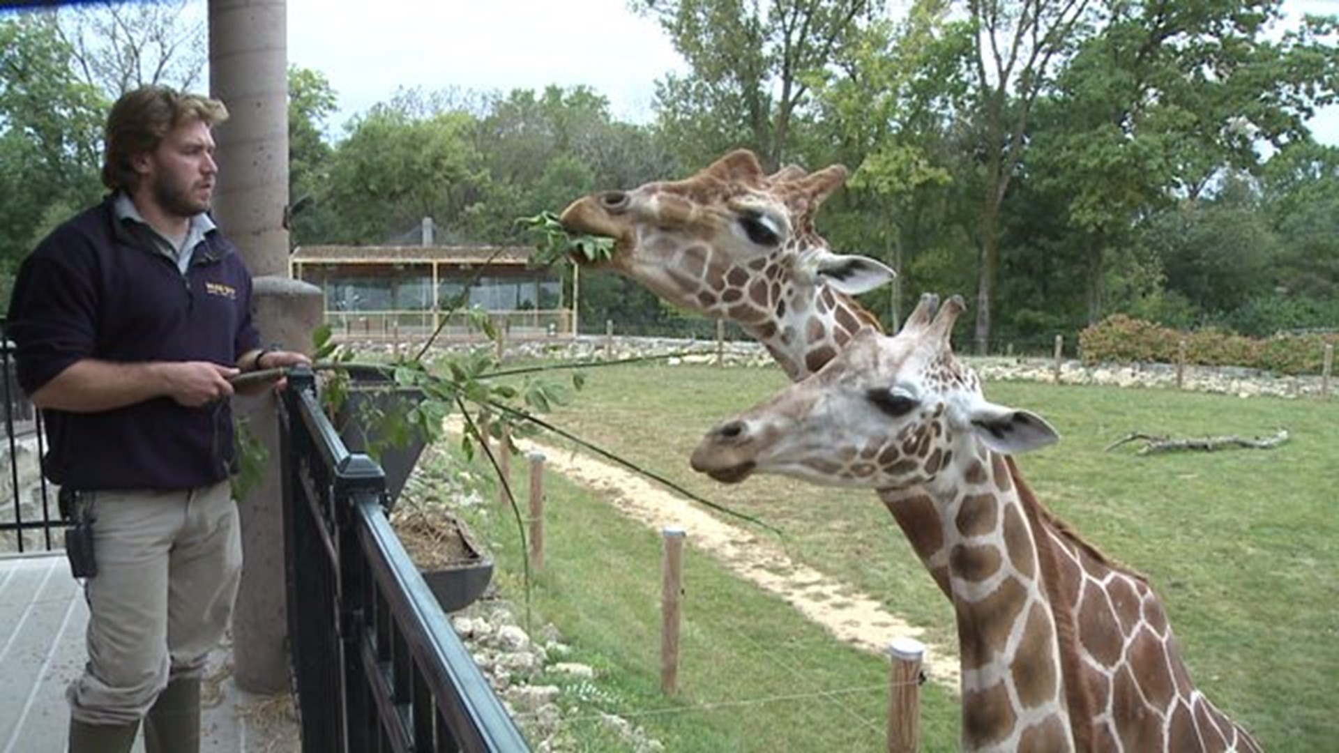 Niabi zoo looks for more animal handlers
