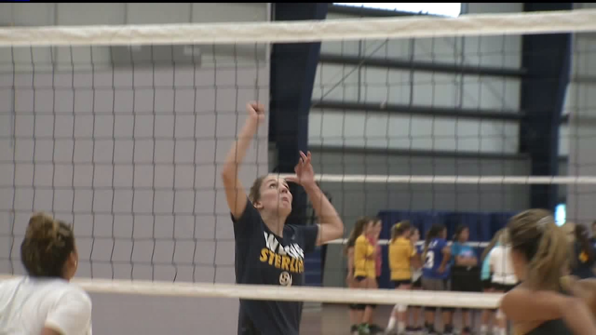 Sterling Volleyball Preview