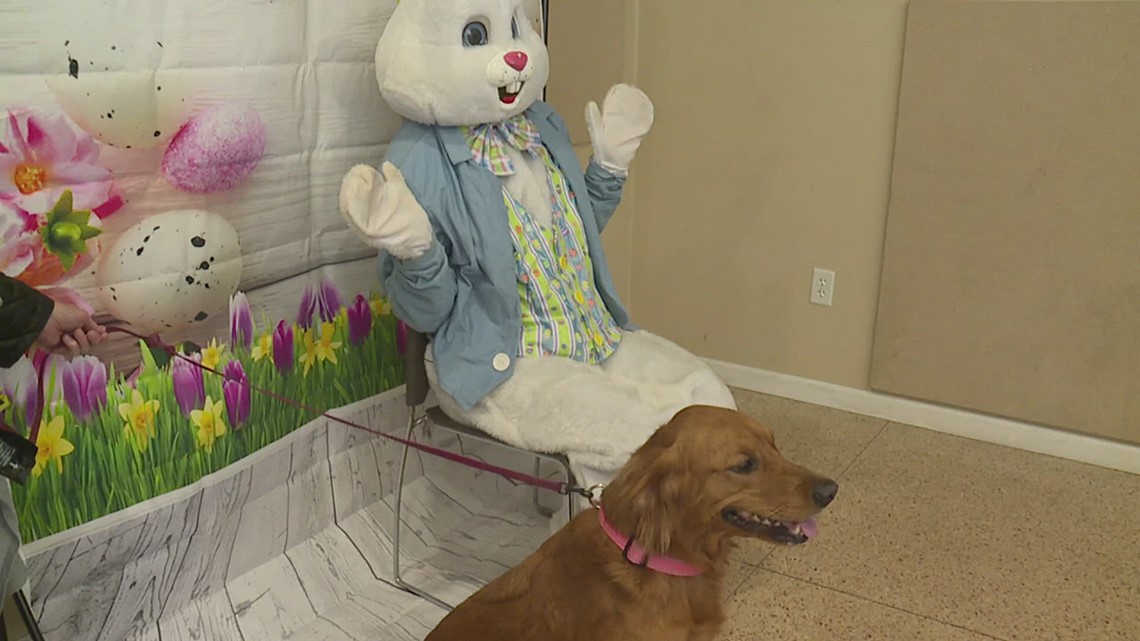 Dogs bring owners pictures and a goody bag at Easter Bunny photo visit