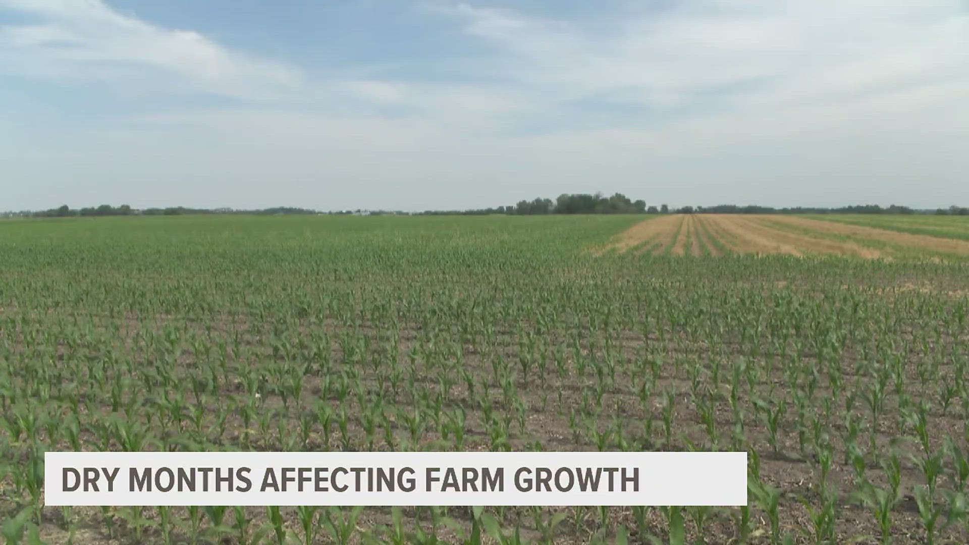 Brian Hora said his crops are growing, but hots days have been putting stress on his corn and beans.