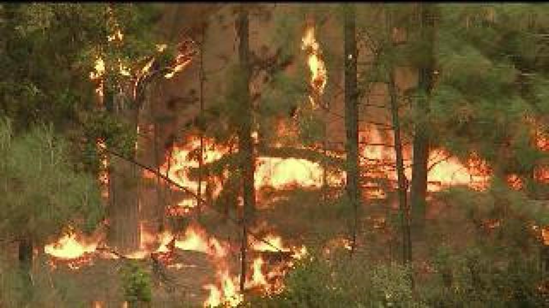 Investigators say hunter sparked Yosemite fire