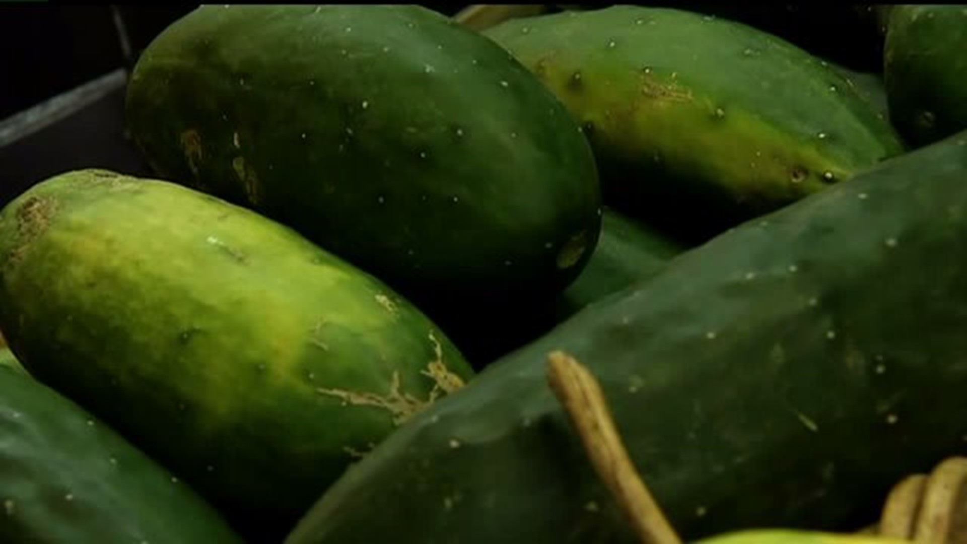 Fourth person dies from eating contaminated cucumbers