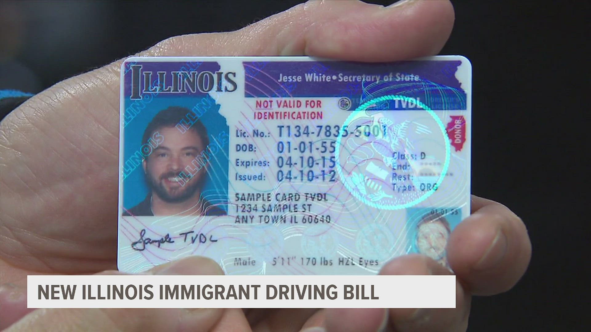 If the bill becomes law, immigrant driver's licenses in Illinois would read "Federal Limits Apply" instead of "Not Valid For Identification."
