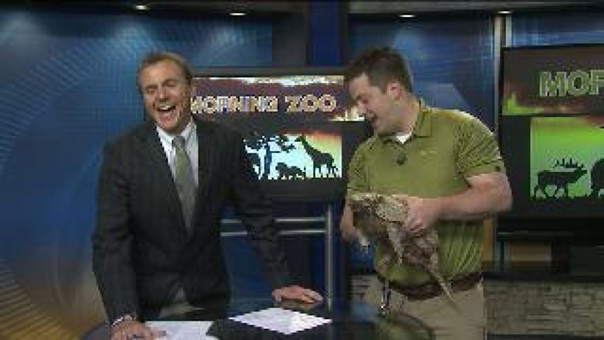 Nature called during GMQC's Morning Zoo